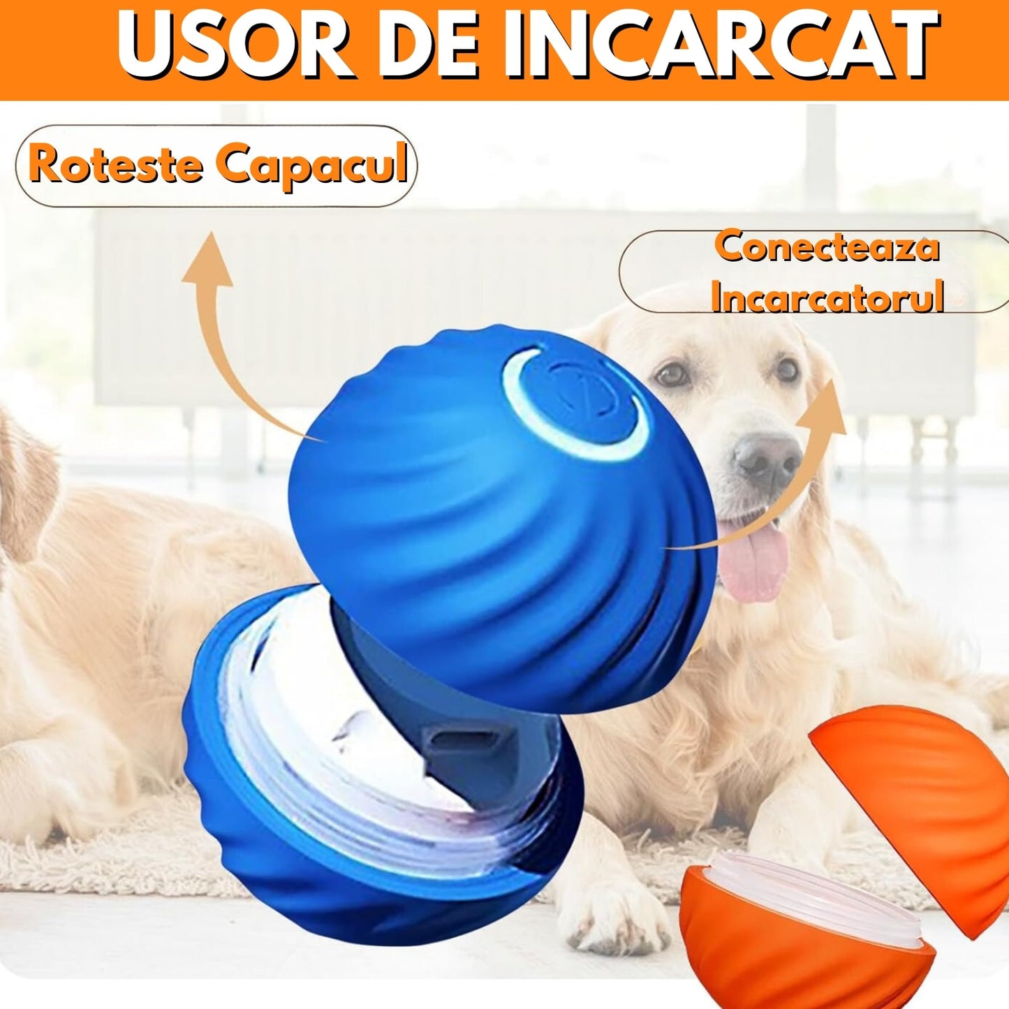 Minge Pisici, Caini, Interactiva, Rotatie 360°,Albastru